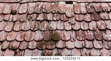 close up natural texture background photo stock