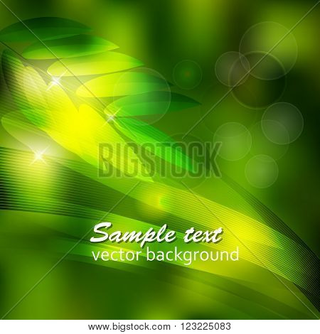 abstract background green leaves and water drops.vector illustration