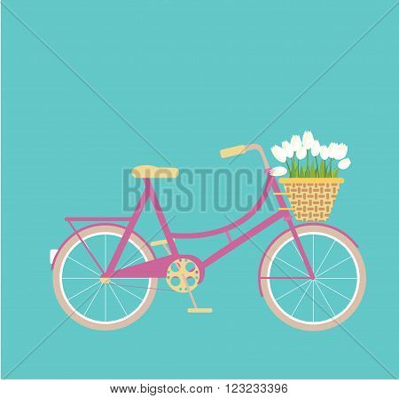Pink bycicle with wicker basket of tulip flowers