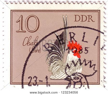 Gdr - Circa 1979: A Stamp Shows Image Of A Rooster With The Designation 
