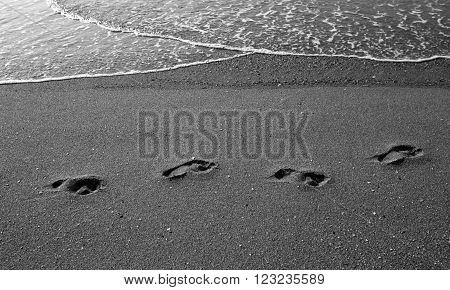 four footprints on the beach in the evening