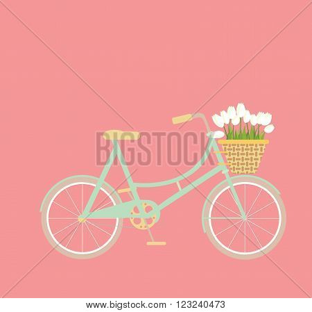 Mint bicycle with wicker basket of tulip flowers