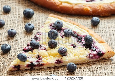 piece of sweet pie with blueberry named Wallachian Frgal. Vlachs' typical cakes baked in Valassko area Czech Republic