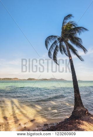 View of nice tropical beach with some palms around. Koh Laoya Sea of Thailand