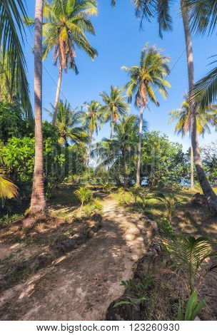 View of nice tropical beach with some palms around. Koh Laoya Sea of Thailand