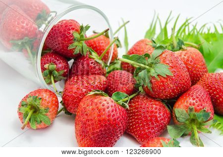 Fresh strawberry from the farm on the mountain.