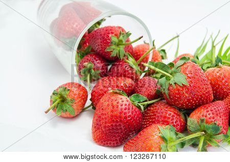 Fresh strawberry from the farm on the mountain.