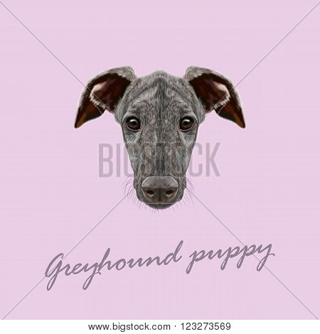 Cute face of dark brindle domestic dog on pink background