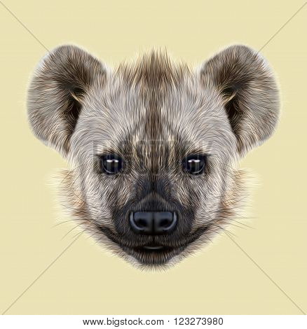 The cute face of African Hyena on yellow background.
