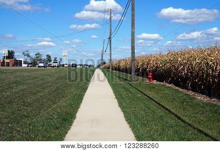 PLAINFIELD, ILLINOIS / UNITED STATES - SEPTEMBER 20, 2015: A sidewalk lies adjacent to a cornfield in Plainfield, Illinois.