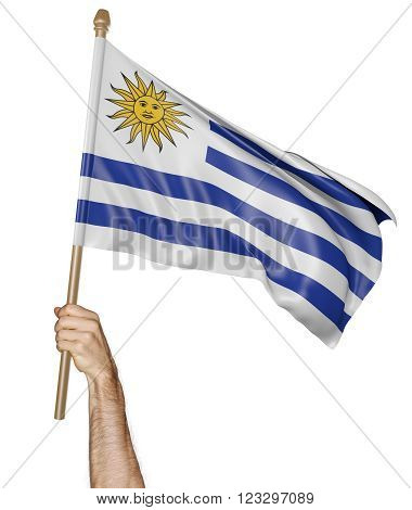 Hand proudly waving the national flag of Uruguay