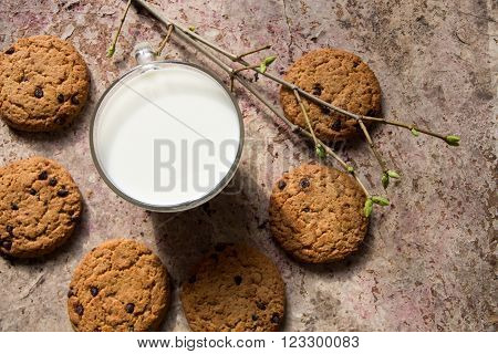oatmeal cookies on the table milk in a glass cup and spring branch