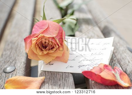 Orange rose with a message on a park bench