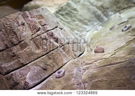 Indoor Climbing Wall Rock Holds