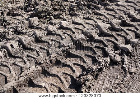 tire tracks on a muddy dirt road