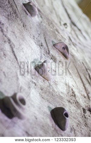 Indoor Climbing Wall Rock Holds