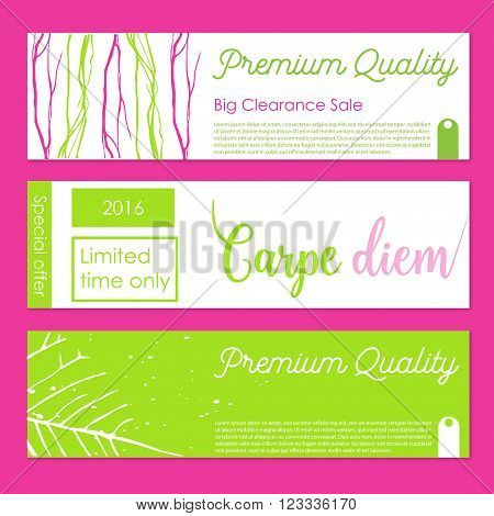 Set of vector banners with organic decor.Gift banner sand cards with organic decor elements. Stock vector illustration.Premium shopping gift cards