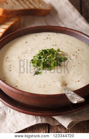 Dietary Puree Soup Of Cauliflower And Toast Close Up. Vertical