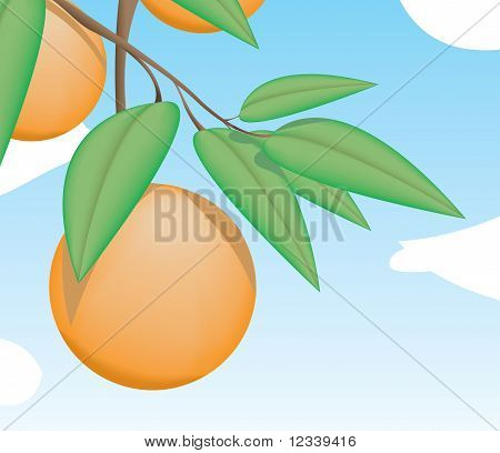 Orange i träd med blad