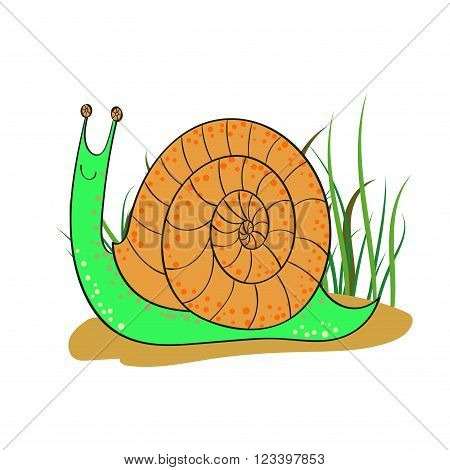Cute cartoon snail isolated on white background. Hand drawn vector illustration.