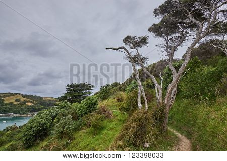 Scenery and landscapes across land and water in Waiheke Island New Zealand