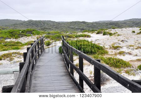 Wooden Boardwalk on the limestone cliffs in Hamelin Bay, Western Australia with a vegetated dune landscape under dark stormy skies.