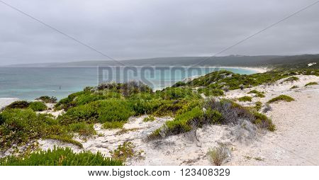 Turquoise Indian Ocean seascape with rocky vegetated dunes at Hamelin Bay beach under dark, stormy skies in Western Australia.
