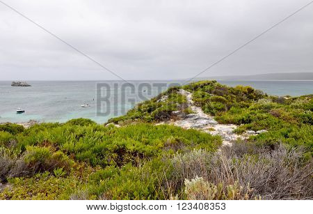 Turquoise Indian Ocean seascape from the green vegetated dunes at Hamelin Bay beach under dark, stormy skies in Western Australia.