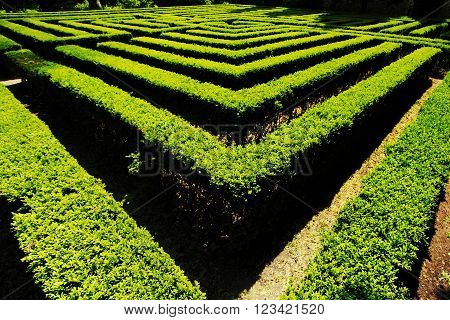Labyrinth made from green bushes in Verona, Italy