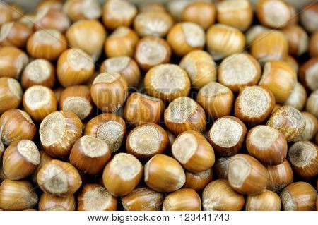 Hazelnuts