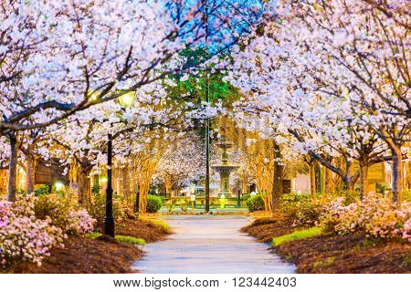 Macon, Georgia, USA in the spring.