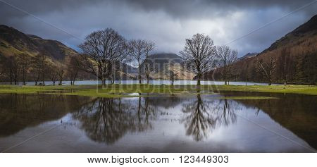 A panoramic image of trees refleted in a flooded field at the edge of Buttermere in the Lake District.