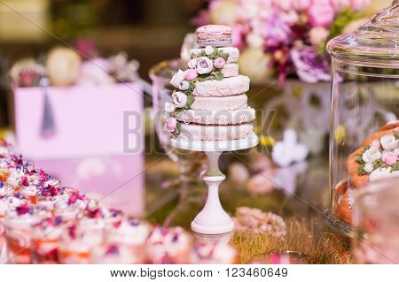 Eco-friendly French Makarons Cake On The Table