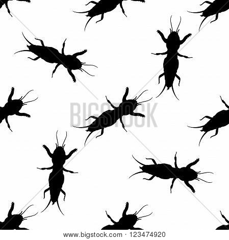 Seamless pattern with European mole cricket.  Gryllotalpidae.  hand-drawn  mole cricket . Vector illustration