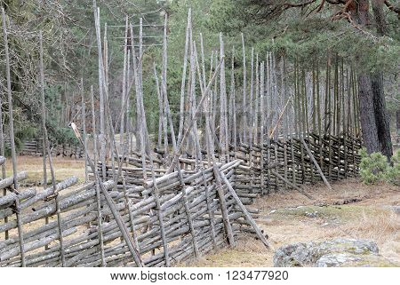 Traditional fence on then swedish countryside made of pine tree