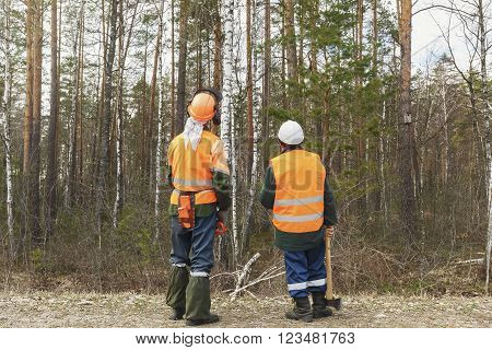 Rear view, two in the form of a lumberjack look out over the forest with an axe in his hands.