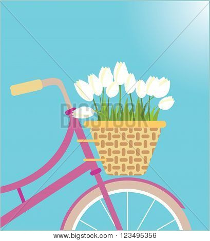 Pink bicycle wicker basket with tulip flowers
