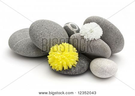 sten og blomster