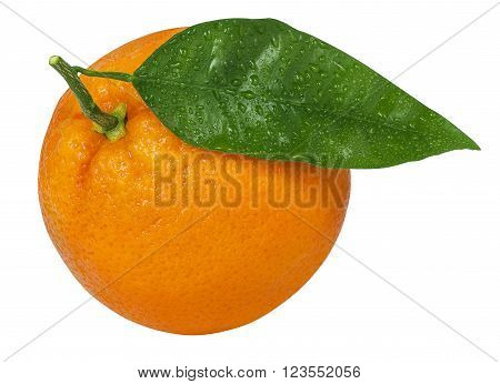 one ripe orange with leaf and drop of water isolated on white background with clipping path