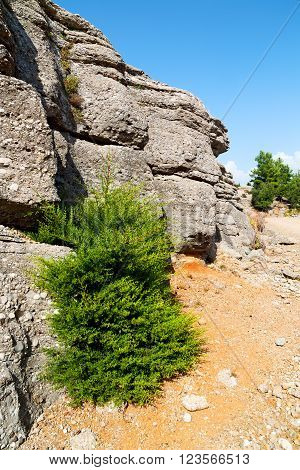 From      In Asia Turkey Selge  And Nature
