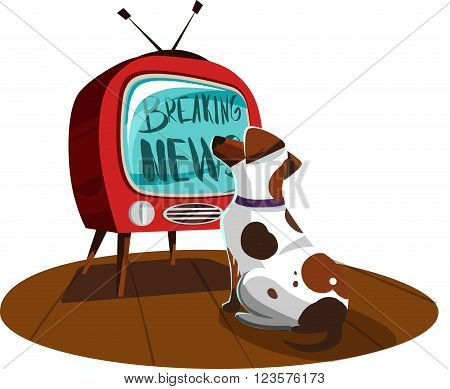 White dog watches the news on TV. Vector illustration