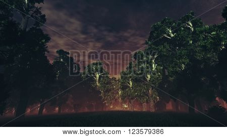 Dark Sinister Mysterious Magic Forest