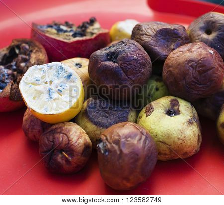 Lots of roten fruits. Apples, lemon, garnet molden dark and dried up. Environment conversion concept close up