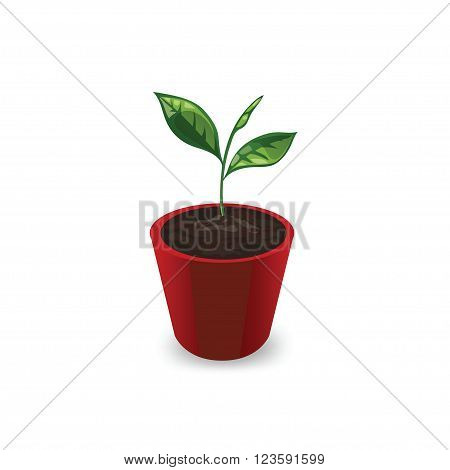 Icon plants in the pot isolated on white background. Icon young sprout with leaves in a red pot. Seedling in a pot in a cartoon style. Vector illustration.