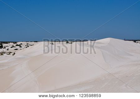 White desert landscape at the Lancelin Sand Dunes under a clear blue sky in Western Australia.