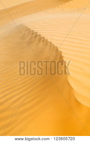 In Oman Old    Sand Dune