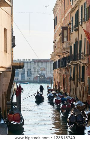 Gondolas In Venice