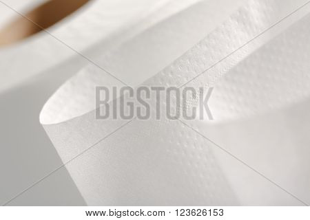 One White Toilet Paper Roll