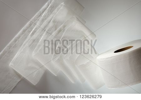 One White Toilet Paper Roll