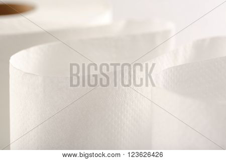 One White Toilet Paper Roll
